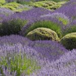 practice of mindful photography