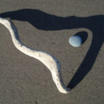 practice of mindful photography