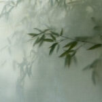 practice of mindful photography