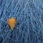 practice of mindful photography