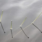 practice of mindful photography