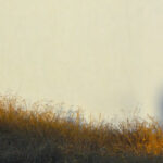 practice of mindful photography