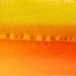 practice of mindful photography