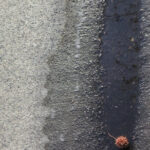 practice of mindful photography