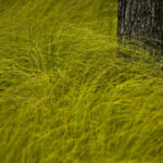 practice of mindful photography