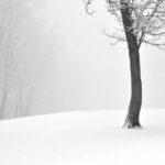 practice of mindful photography