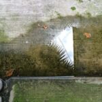 practice of mindful photography