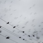 practice of mindful photography