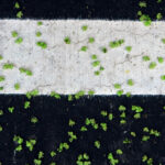 practice of mindful photography