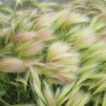 practice of mindful photography