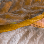 practice of mindful photography