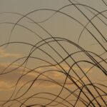 practice of mindful photography