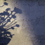 practice of mindful photography