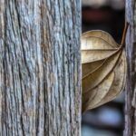 practice of mindful photography