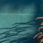 practice of mindful photography