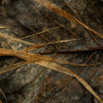 practice of mindful photography