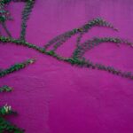 practice of mindful photography