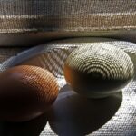 practice of mindful photography