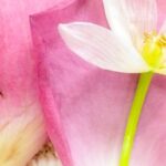 practice of mindful photography