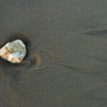 practice of mindful photography