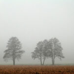 practice of mindful photography