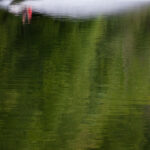 practice of mindful photography