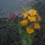 practice of mindful photography