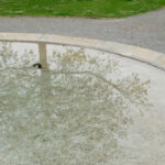 practice of mindful photography