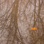 practice of mindful photography