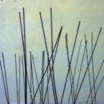 practice of mindful photography