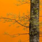 practice of mindful photography