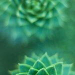 Creating Mandalas Printable Page Excerpt