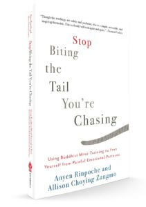 Stop Biting the Tail You're Chasing