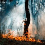 From Fire to Mud | A Journey Through the California Fires