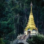 Temple Boy and Spitting Cobra | An Excerpt from In the Cool Shade of Compassion