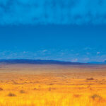 The Desert Knows | An Excerpt from Desert