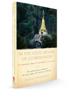 In the Cool Shade of Compassion