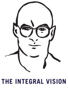 Integral Vision