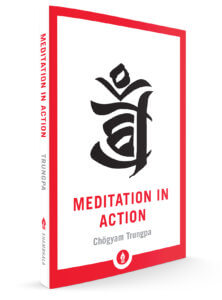 Meditation in Action