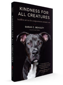 kindness for all creatures