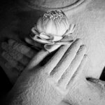 Buddha Nature: A Reader’s Guide