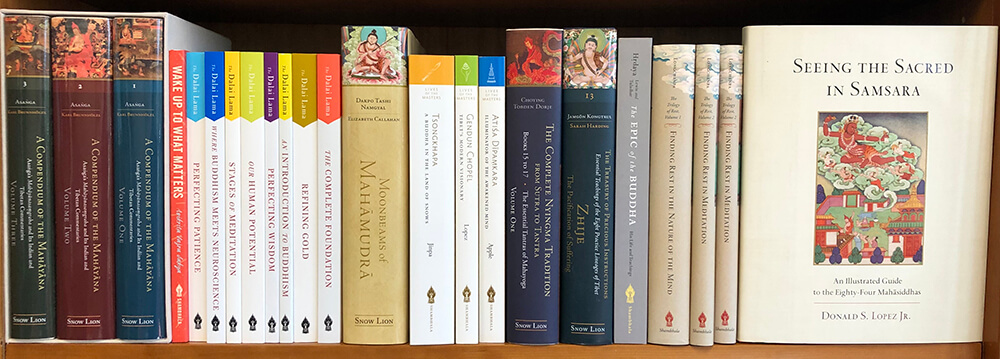 Some of the 2019 releases from Shambhala & Snow Lion