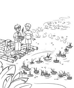 Krit Dreams of Dragon Fruit