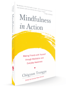 Mindfulness in Action