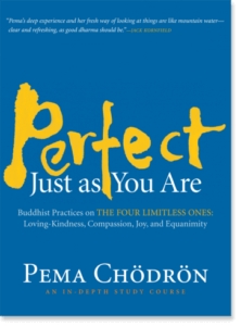 Perfect Just As You Are