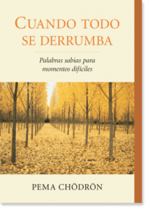 When Things Fall Apart