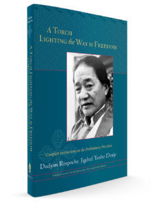 torch lighting the way to freedom