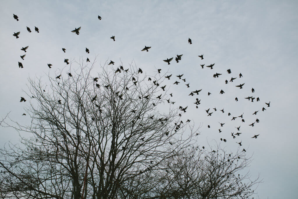 The Everyday Ayurveda Guide to Self-Care