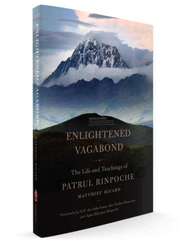 enlightened vagabond