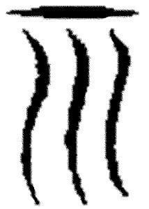 Sources of Light China Root